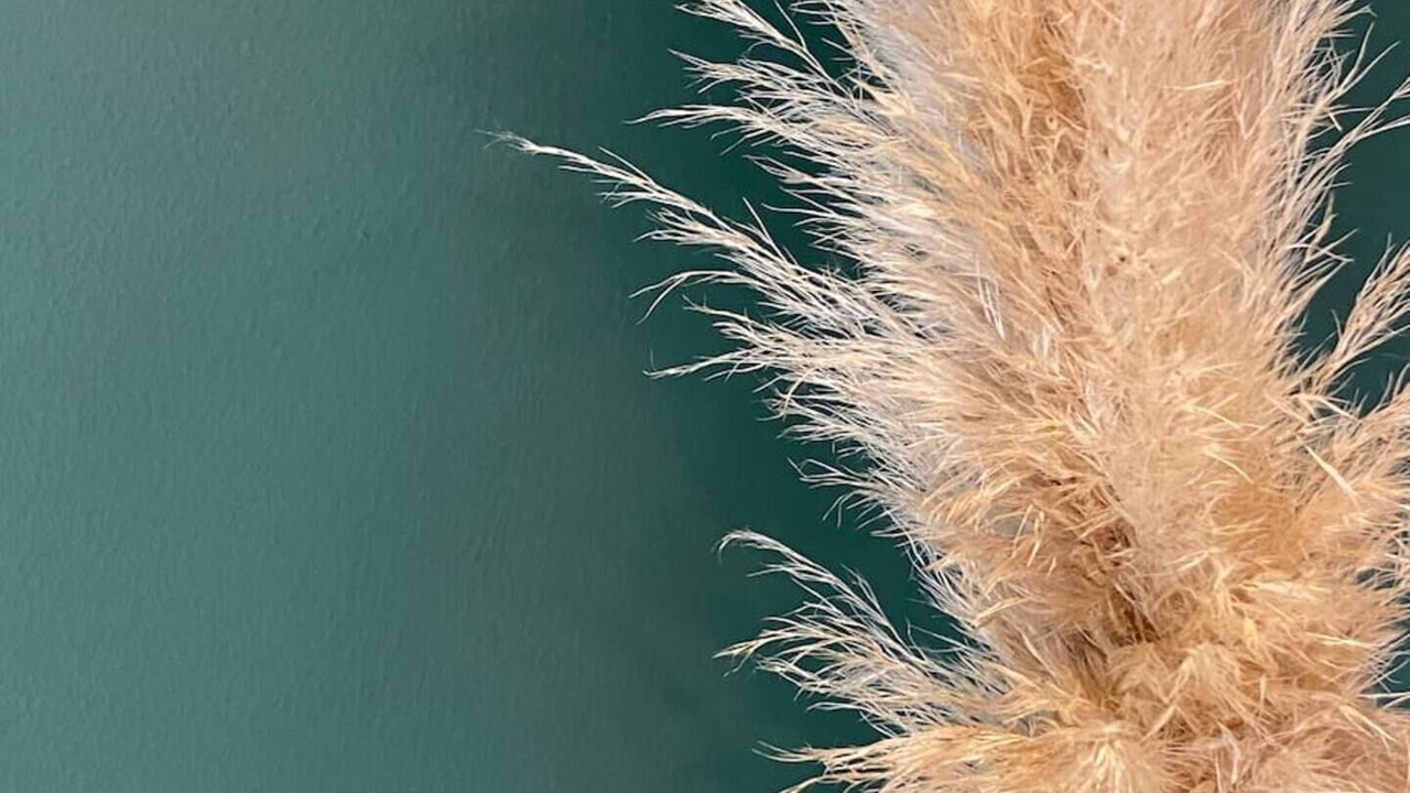 Photo of Others in Richmond