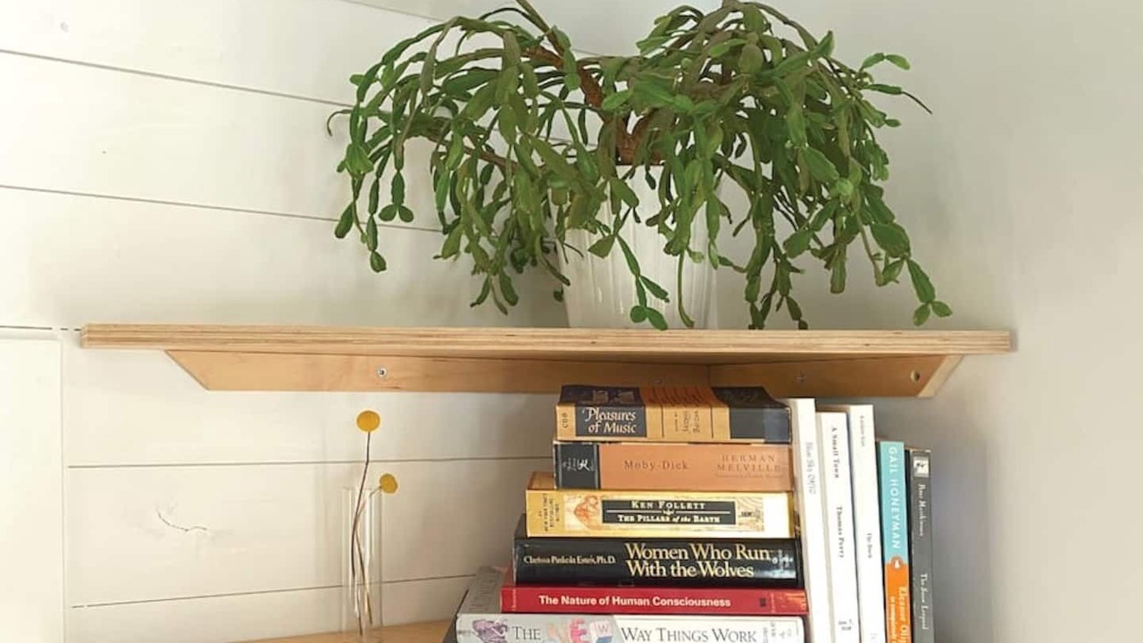 Photo of Others in Richmond