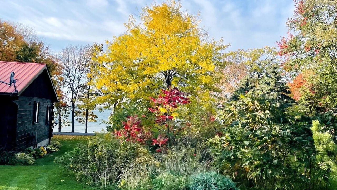 Photo of Outdoor in Cressy