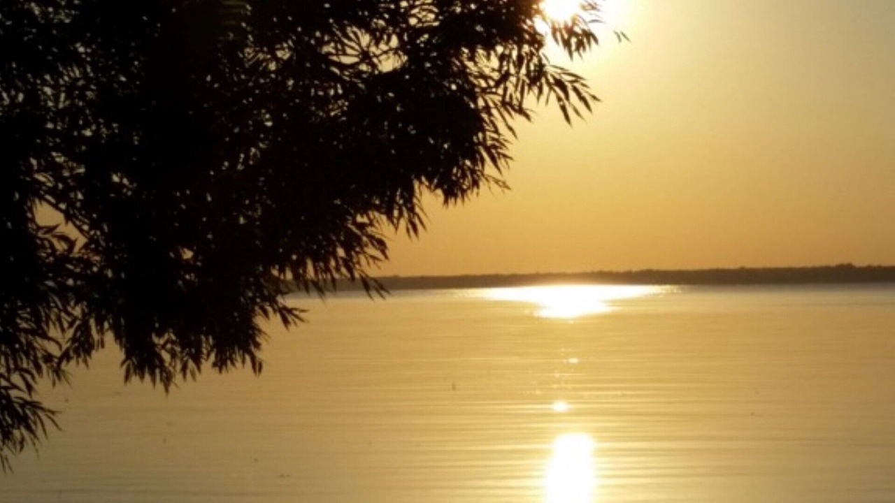 Photo of Others in Cressy