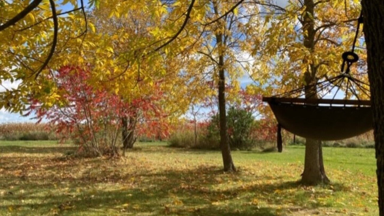 Photo of Outdoor in Cressy