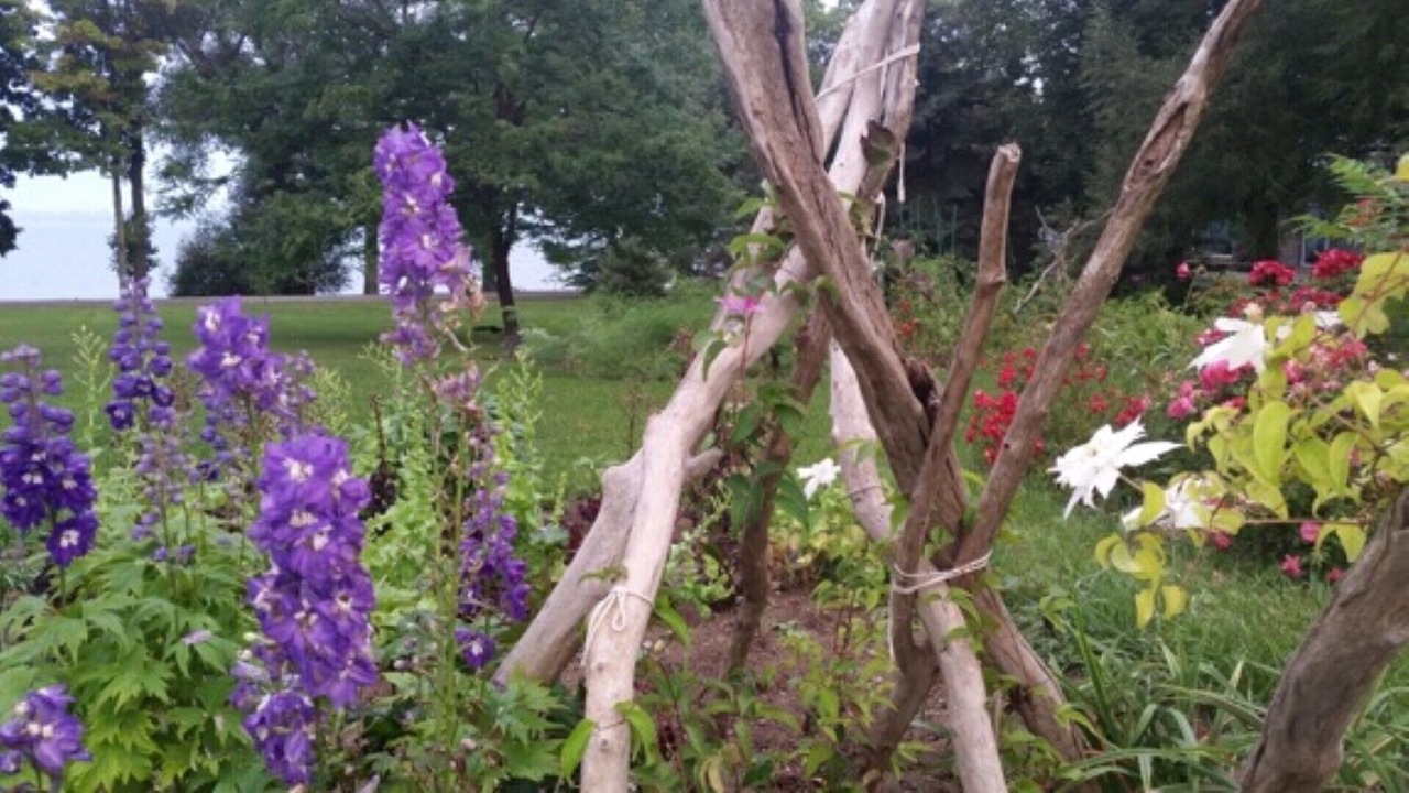 Photo of Outdoor in Cressy