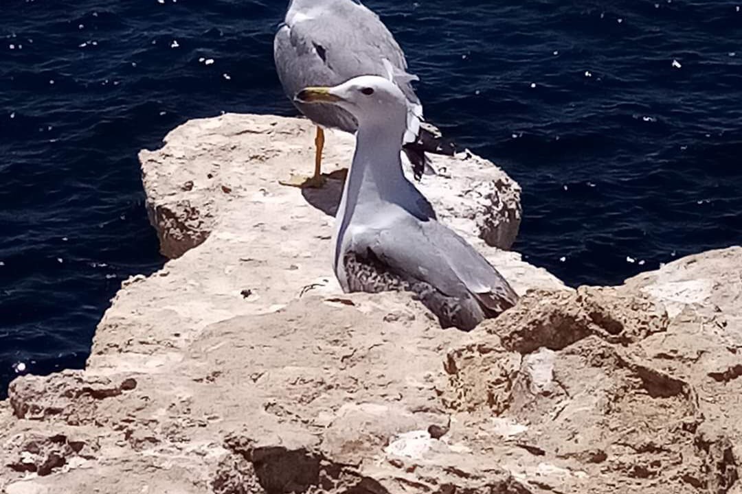 Photo of Others in Santa Pola
