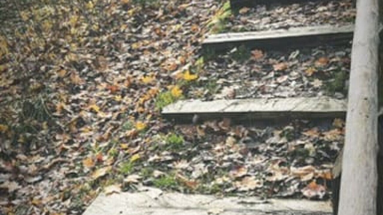 Photo of Outdoor in Le Roy