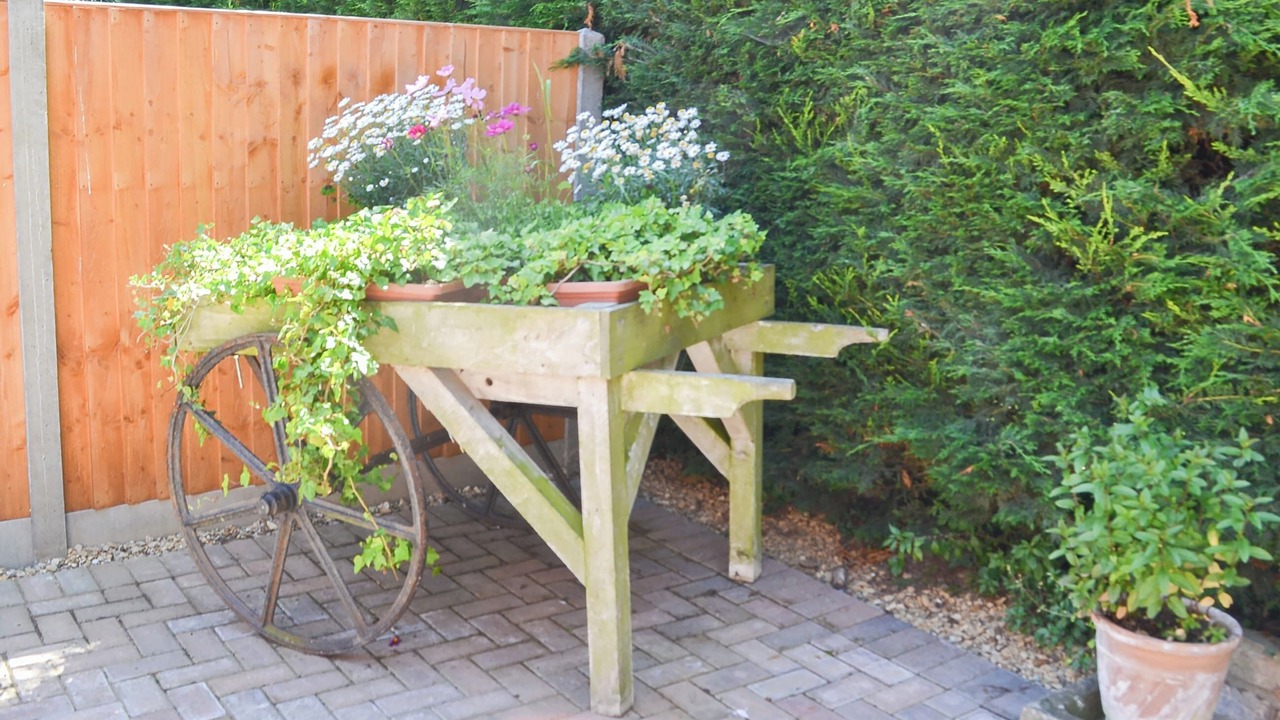 Photo of Others in Alford