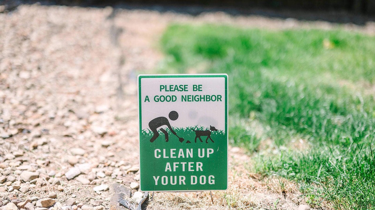 Photo of Others in Allegheny-West