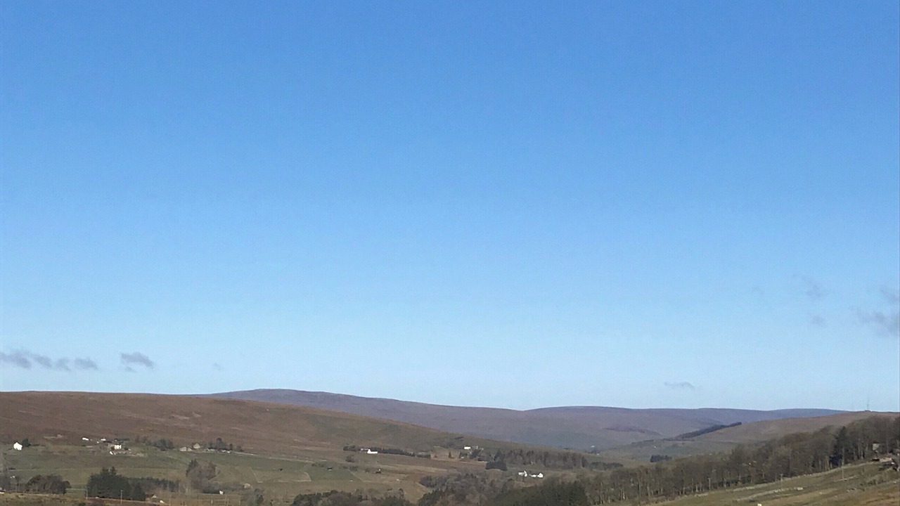 Photo of Others in Alston