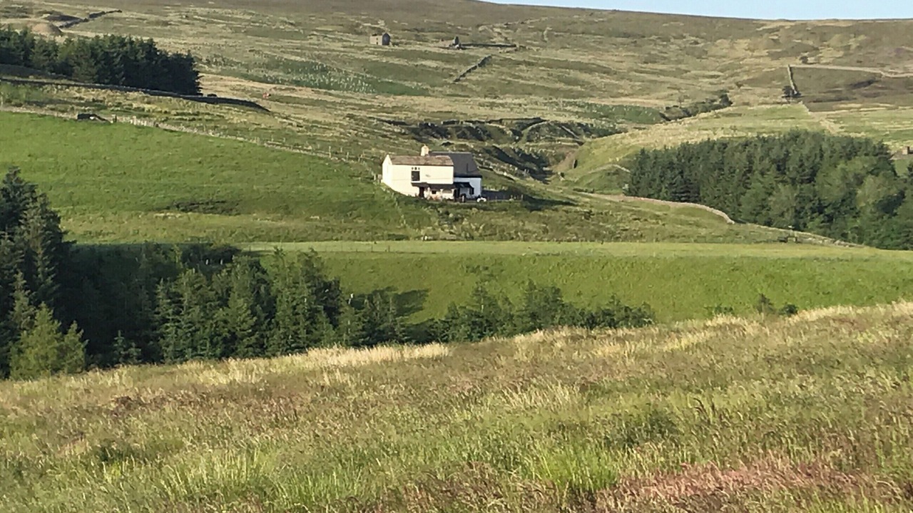 Photo of Others in Alston