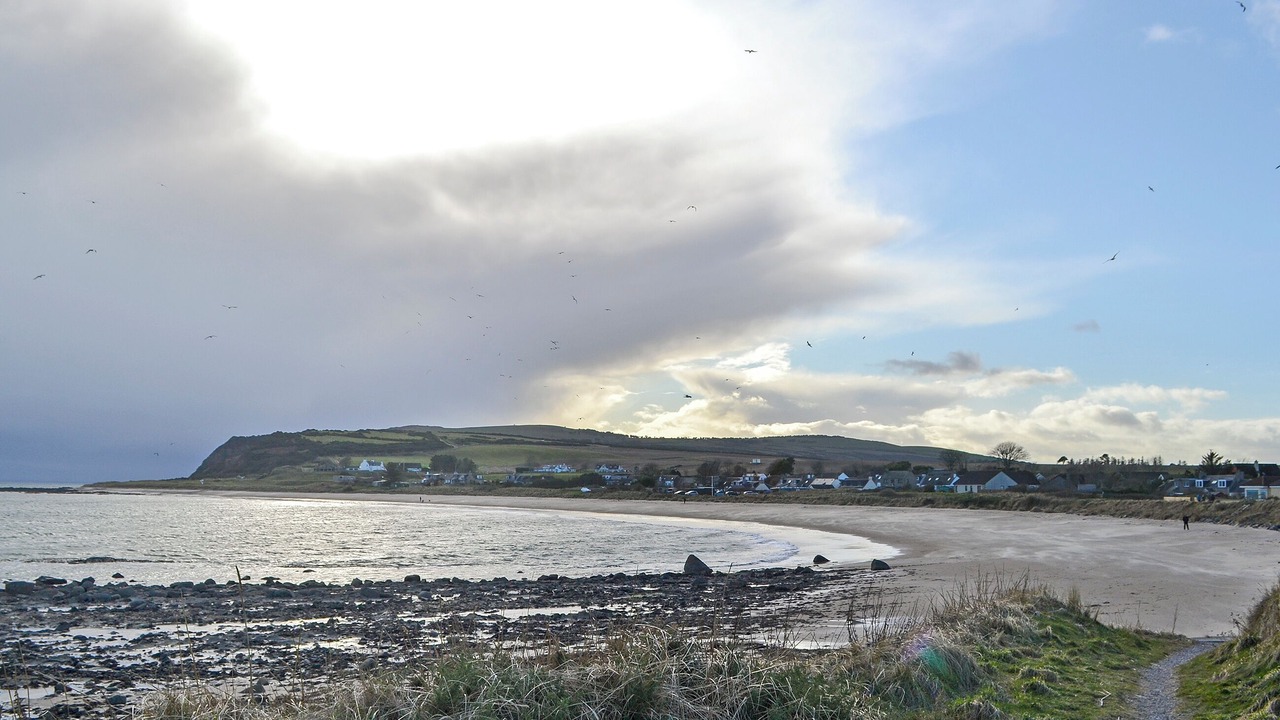 Photo of Others in Tain