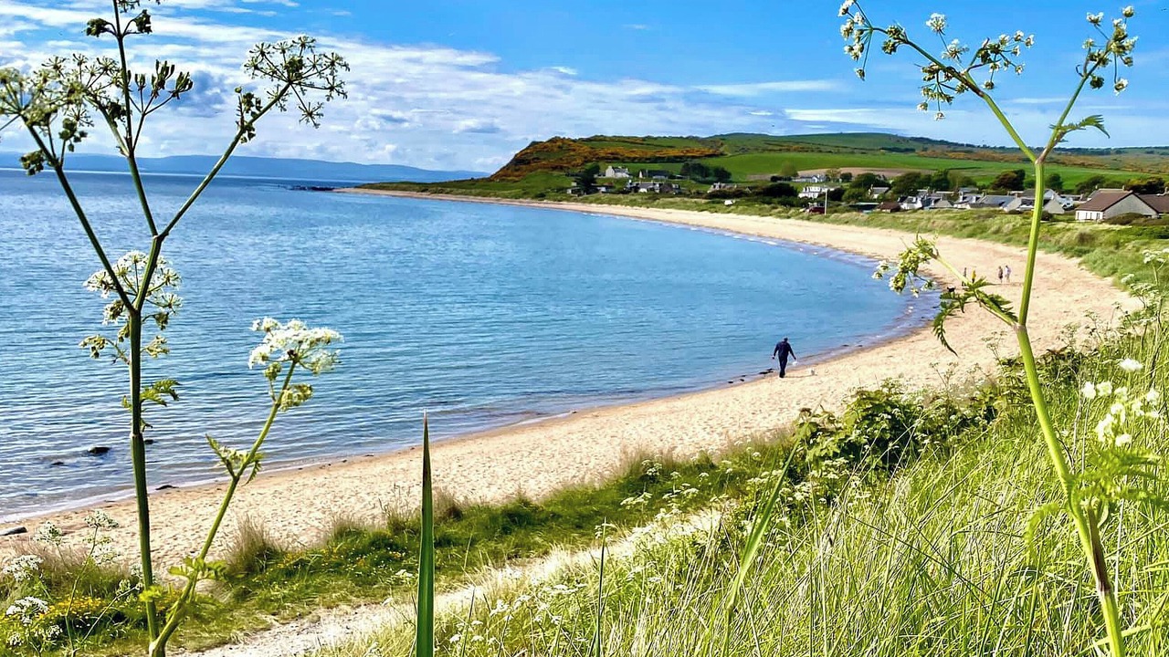 Photo of Others in Tain