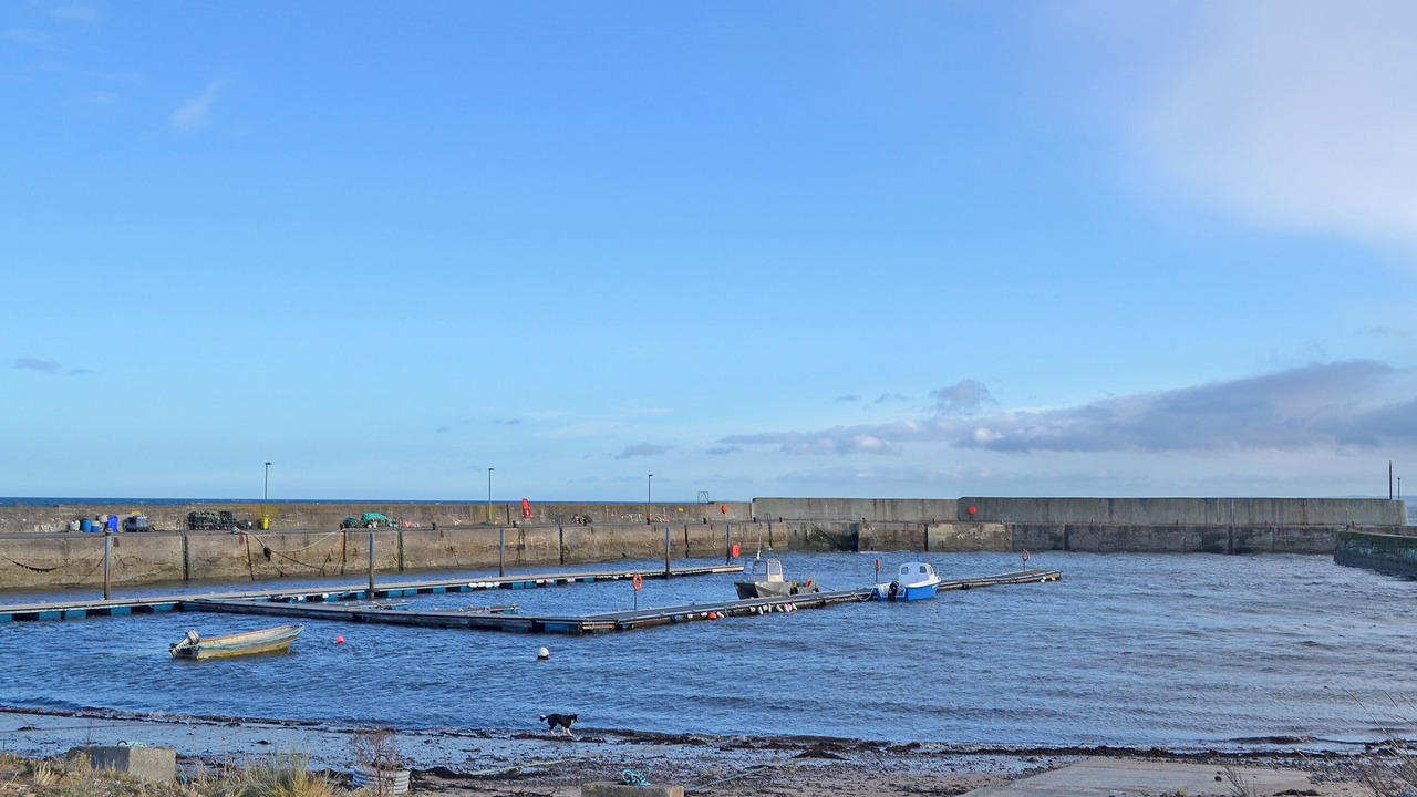 Photo of Others in Tain