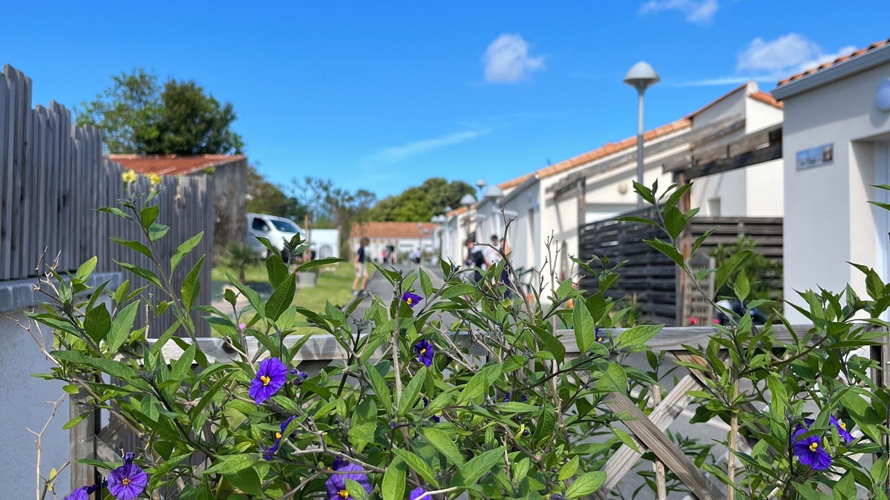 Photo of Outdoor in Olonne-sur-Mer