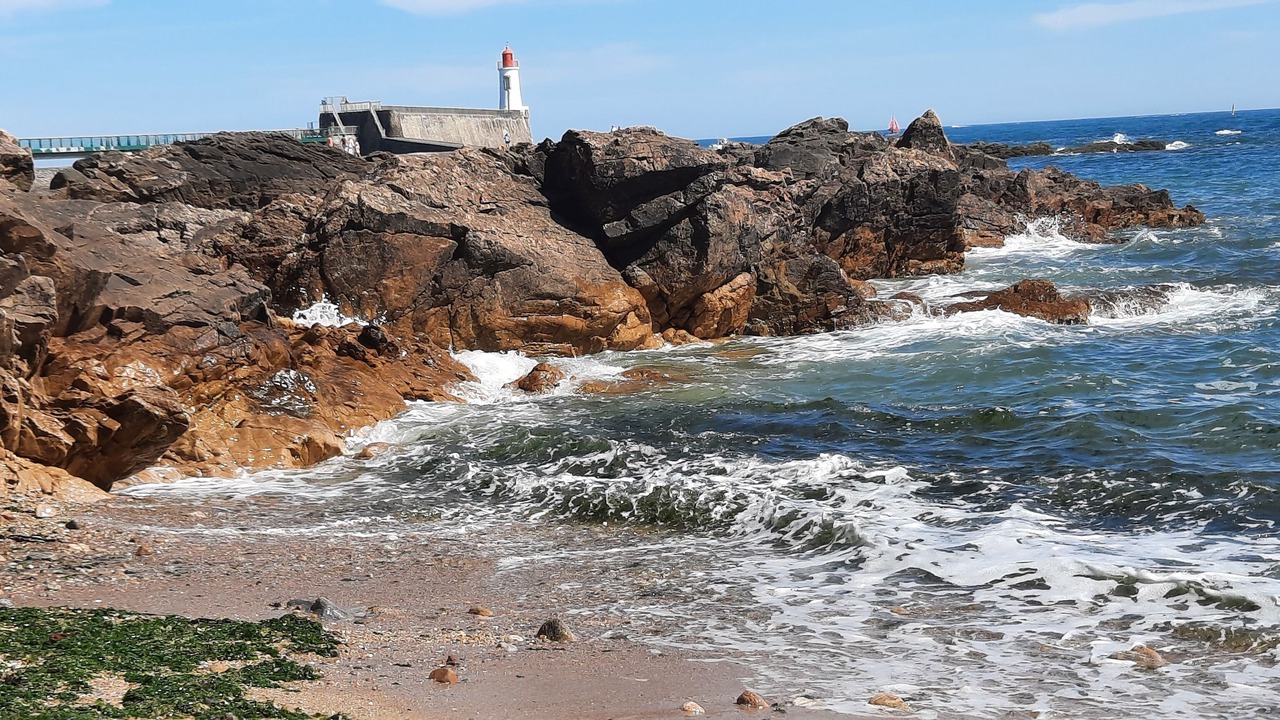 Photo of Others in Olonne-sur-Mer