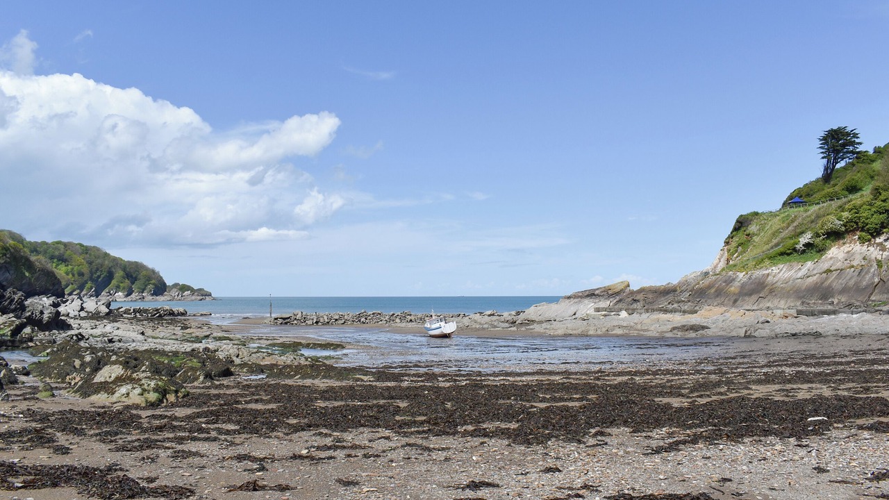 Photo of Others in Combe Martin