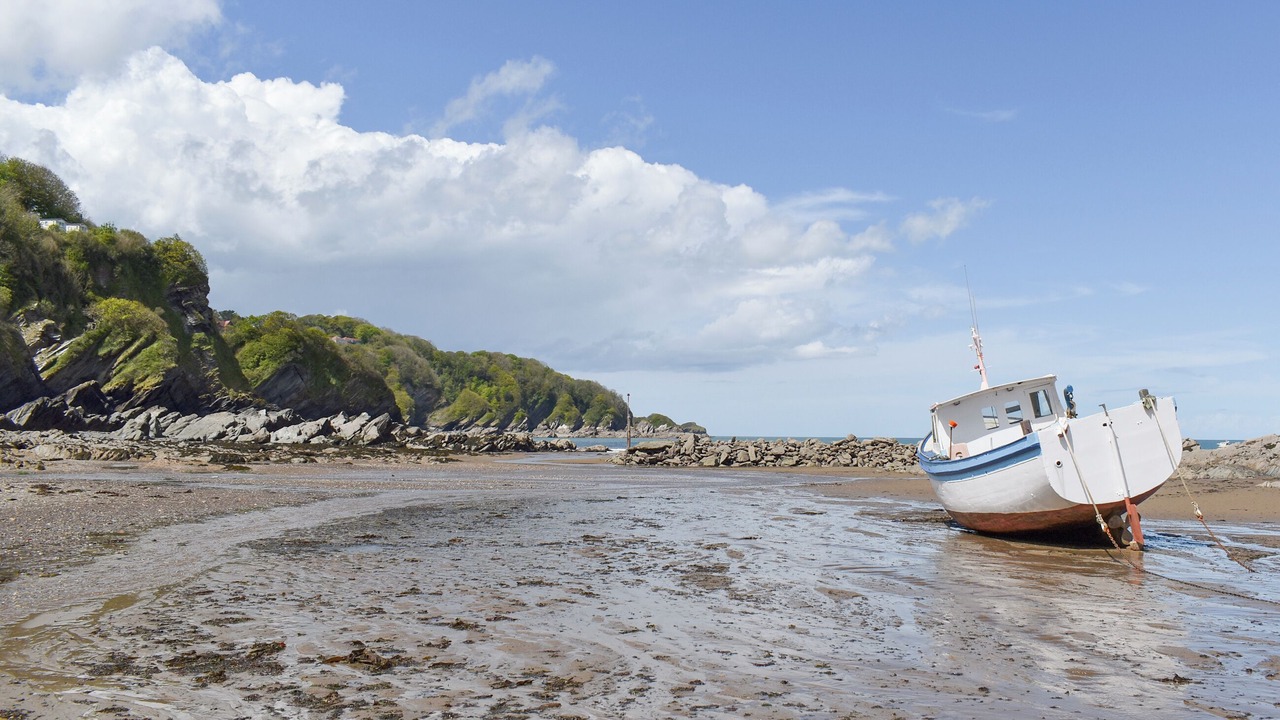 Photo of Others in Combe Martin