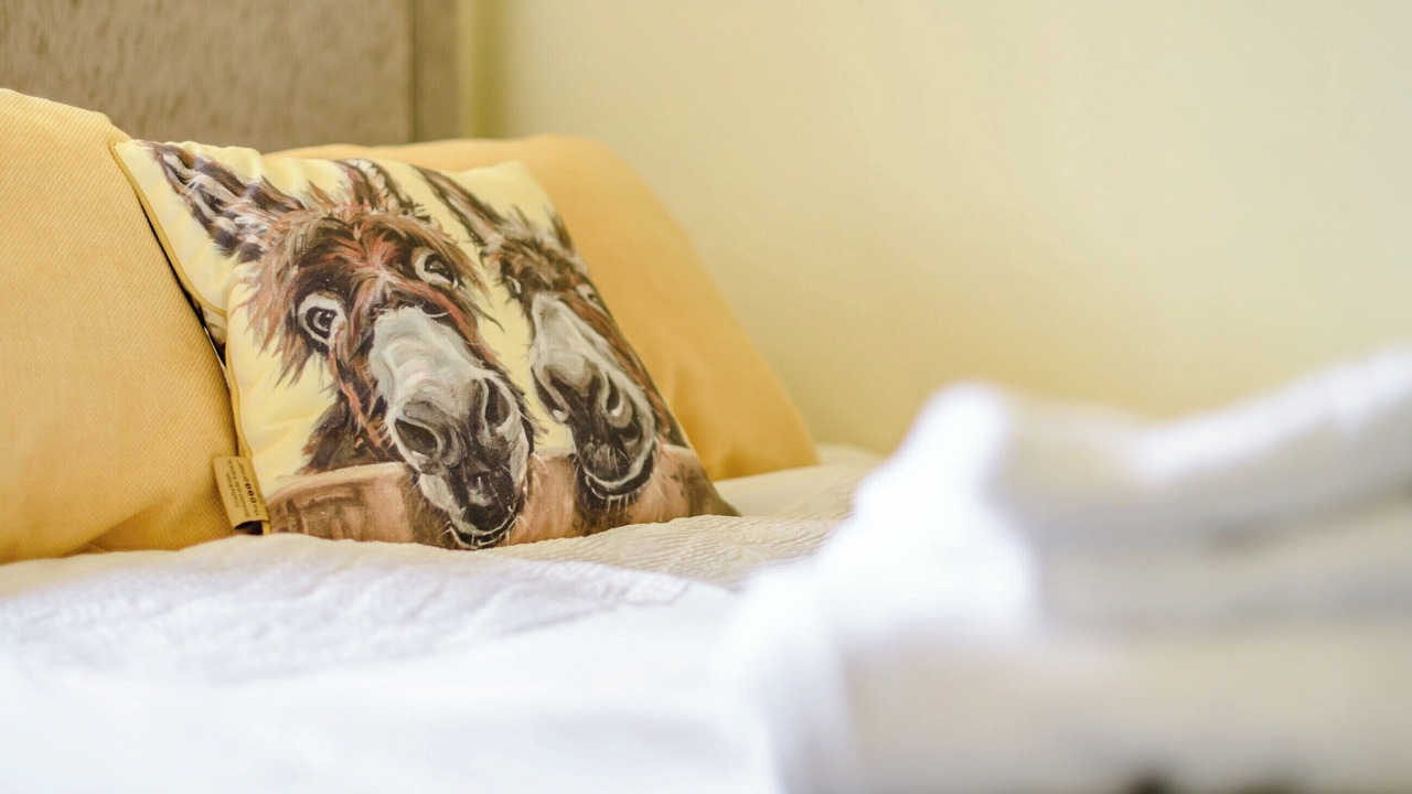 Photo of Others in Eye