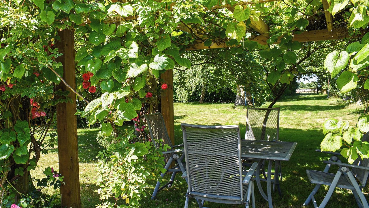 Photo of Outdoor in Eye