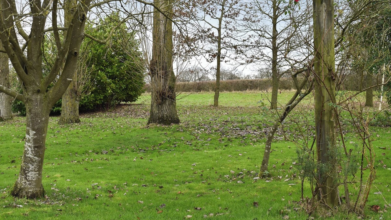 Photo of Outdoor in Eye