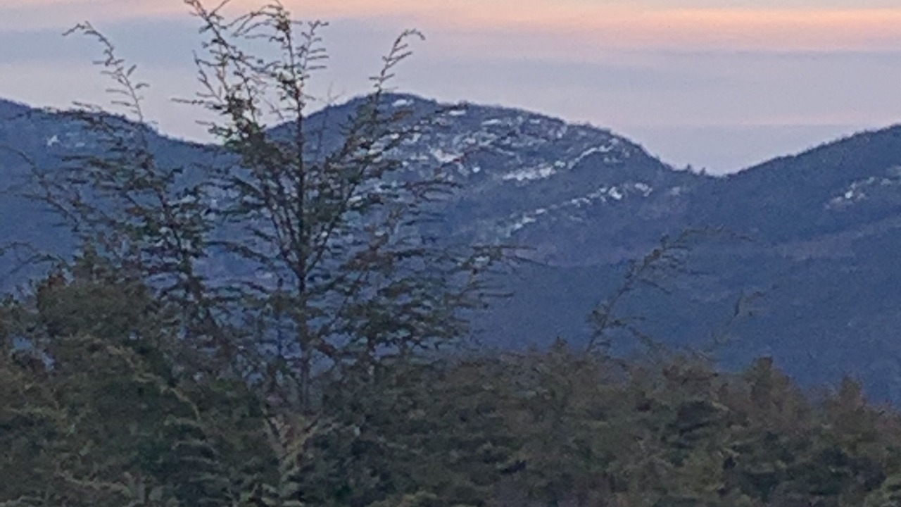 Photo of Others in Bolton Landing
