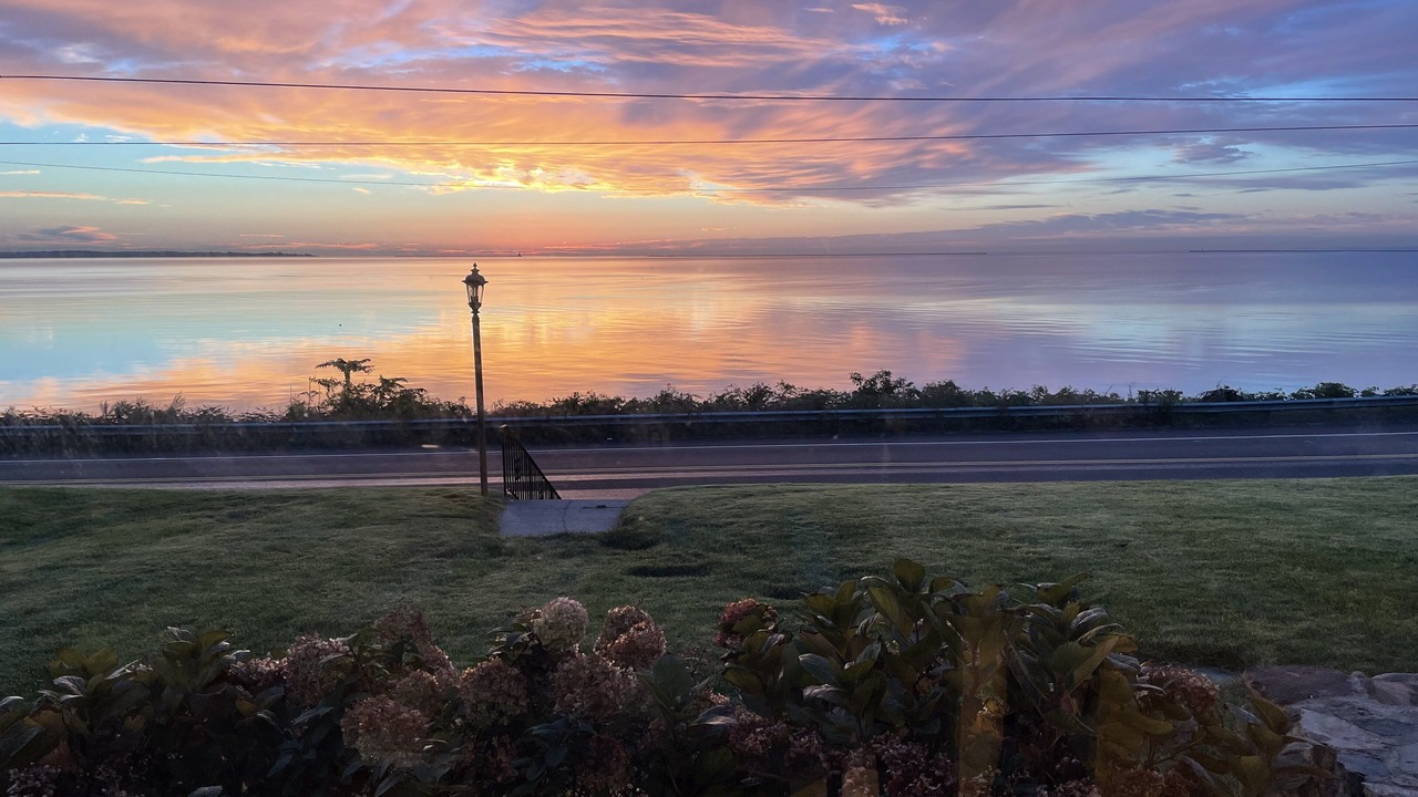 Photo of Others in West Haven