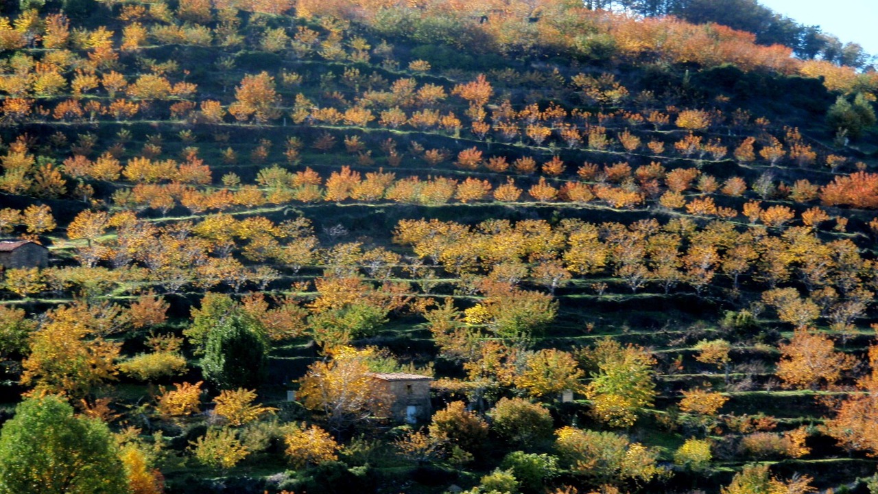 Photo of Outdoor in Casas del Castanar