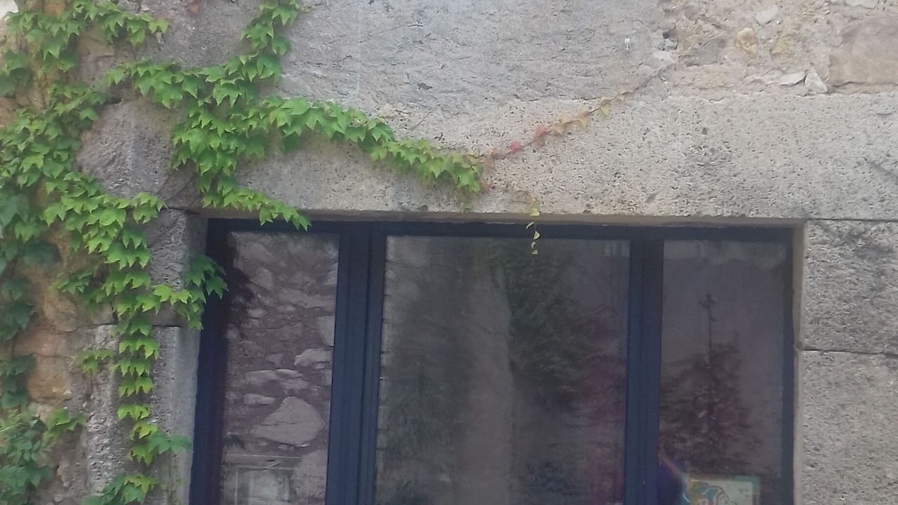 Photo of Outdoor in Ferrals-les-Corbieres