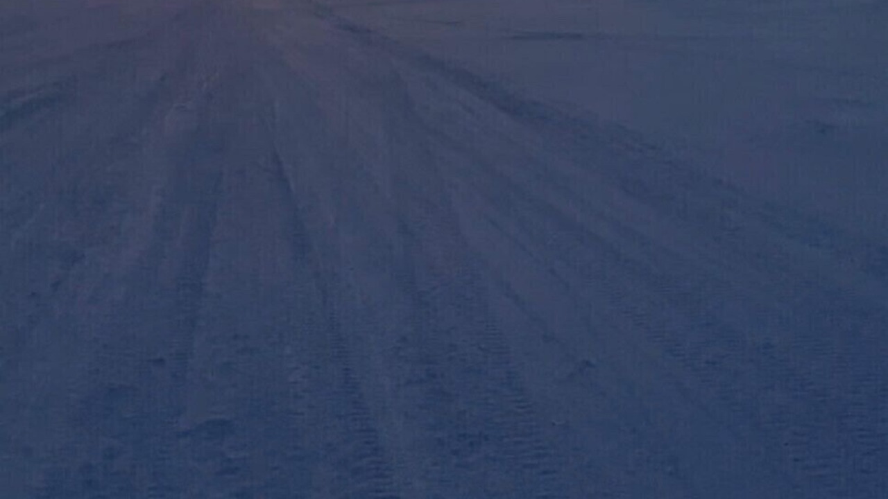 Photo of Others in Byng Inlet