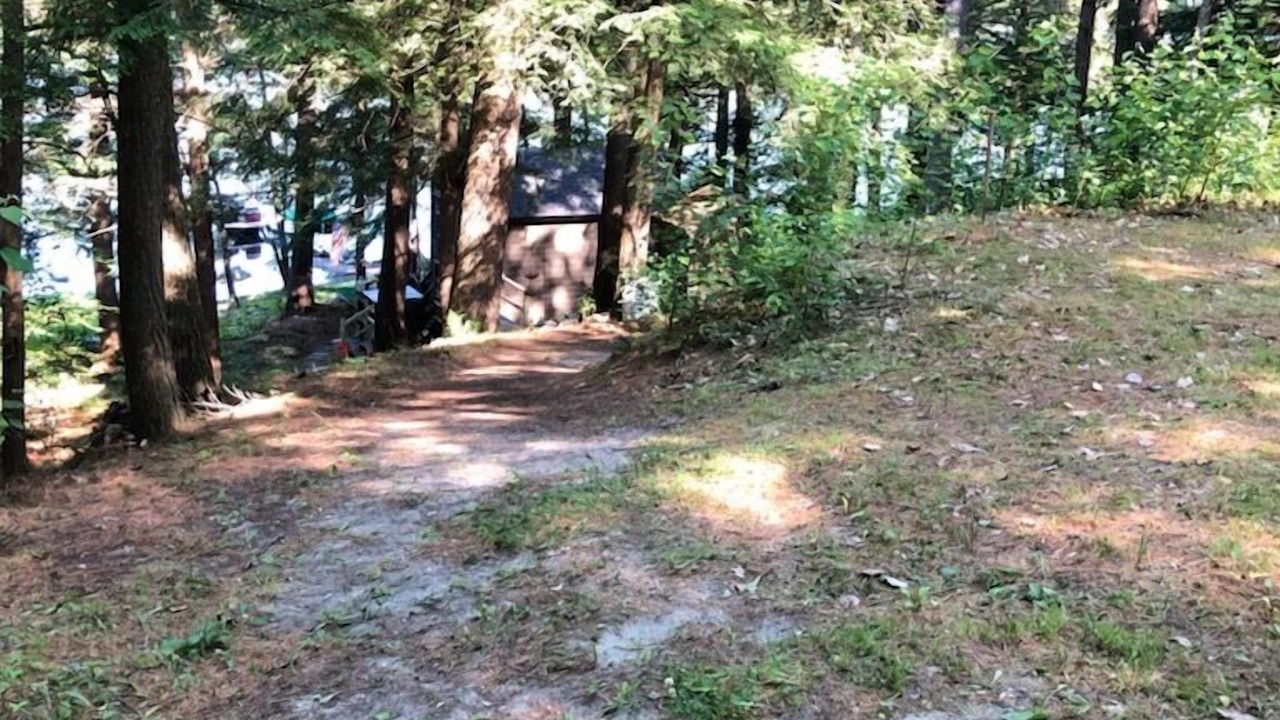 Photo of Others in Croydon