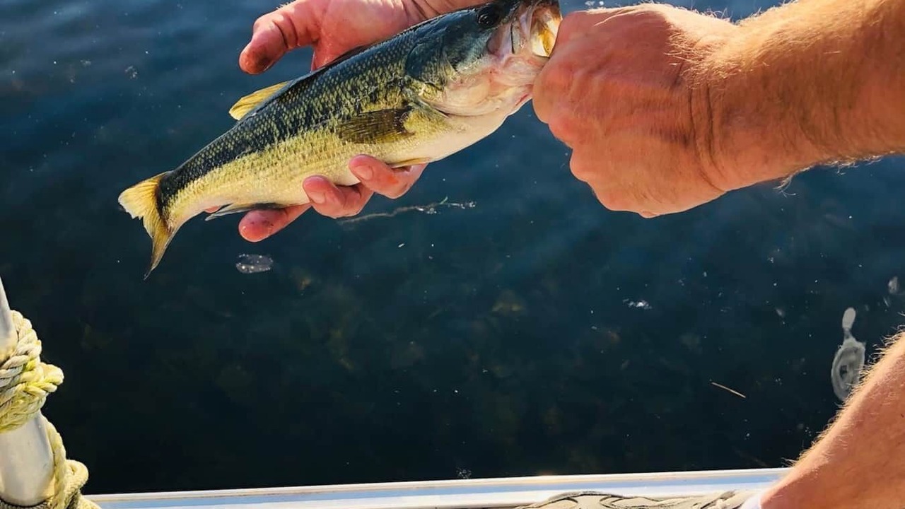 Photo of Outdoor in Croydon