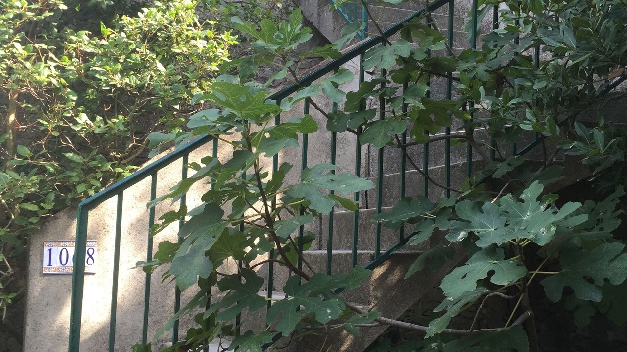 Photo of Outdoor in Gailhan