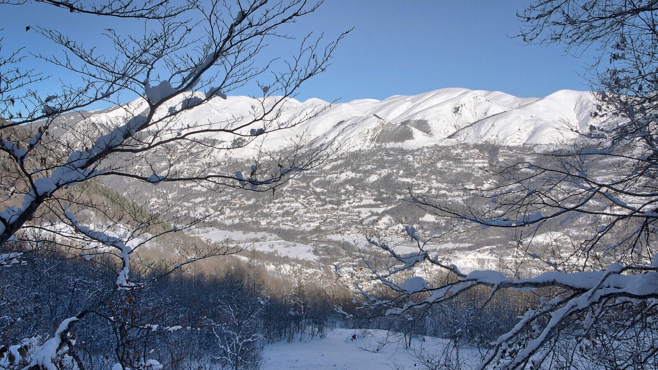 Photo of Others in Genos
