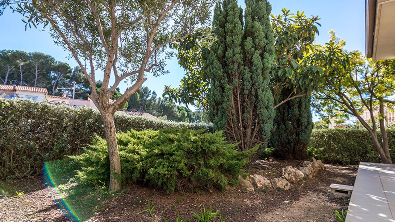 Photo of Outdoor in Bouzigues
