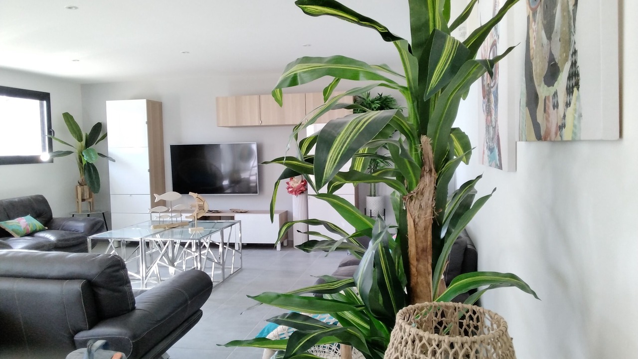 Photo of Livingroom in Sete