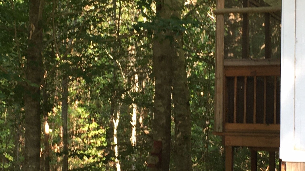 Photo of Outdoor in Etoile