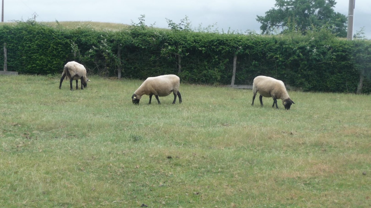 Photo of Outdoor in Tancon