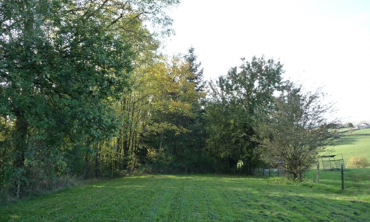 Photo of Outdoor in Tancon