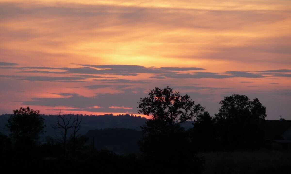 Photo of Others in Tancon