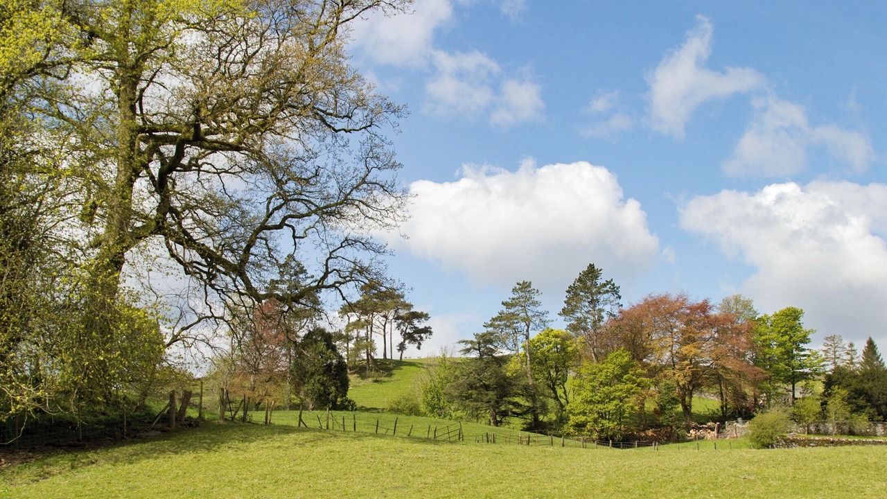 Photo of Outdoor in Kendal