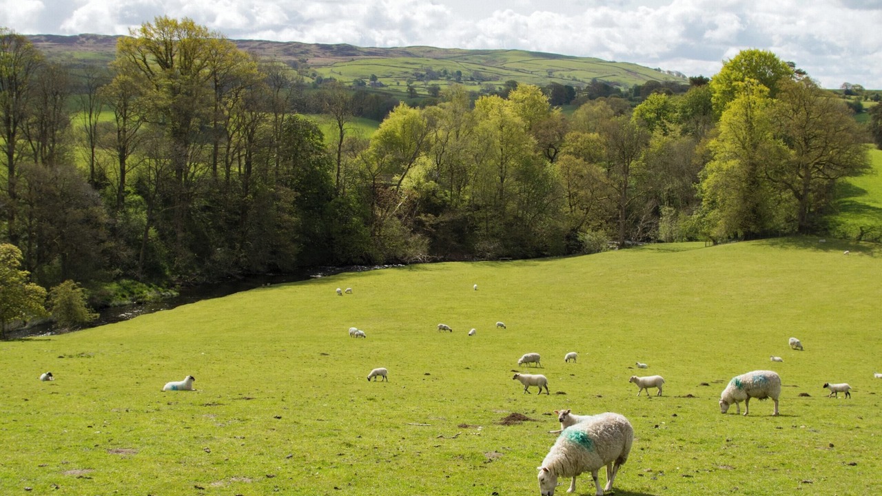 Photo of Outdoor in Kendal