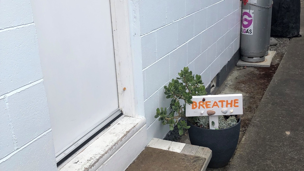 Photo of Others in Foxton Beach