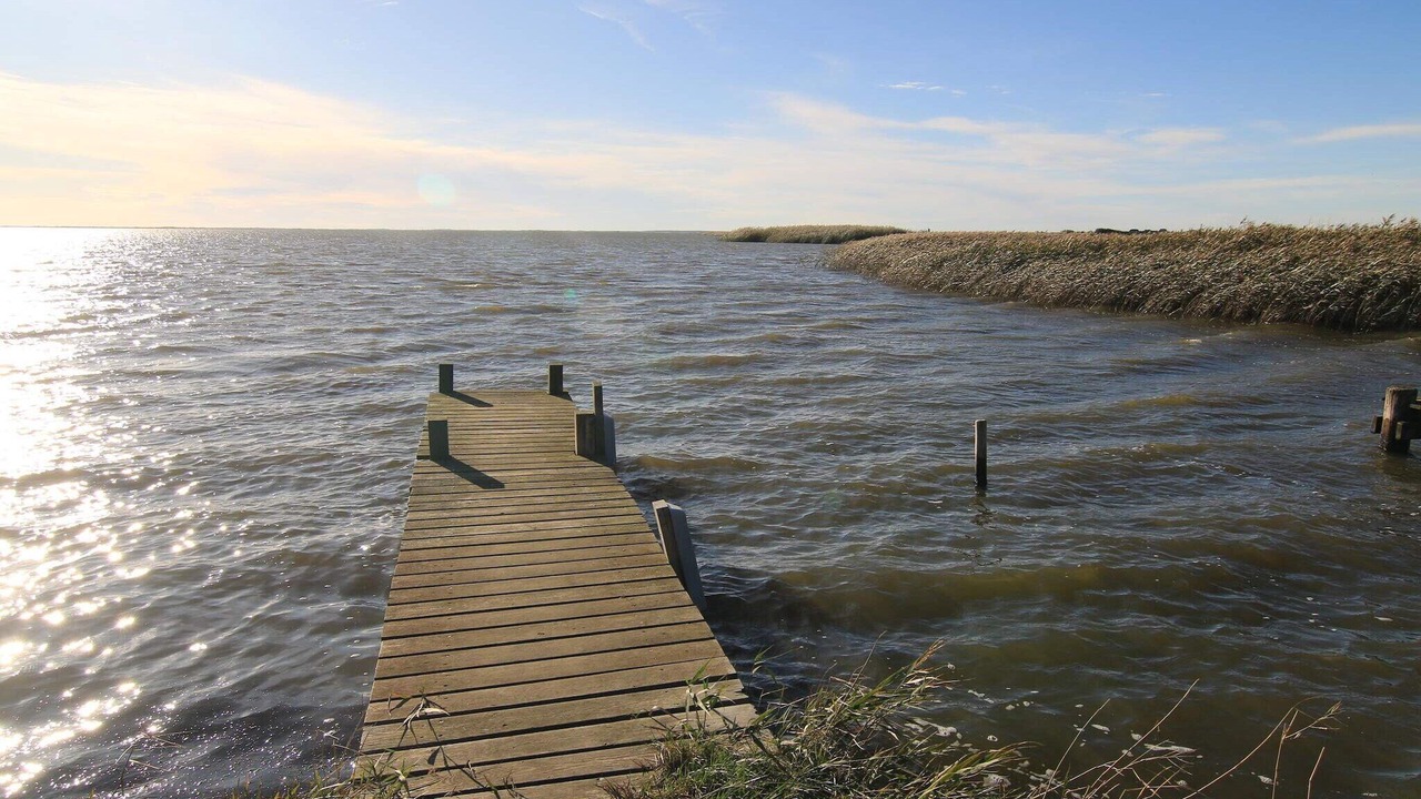 Photo of Others in Haurvig