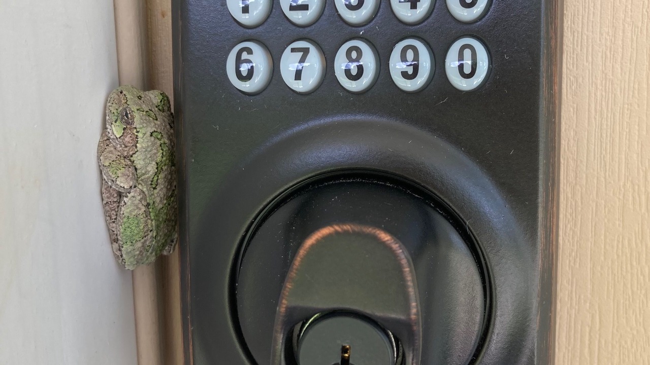 Photo of Others in Naples