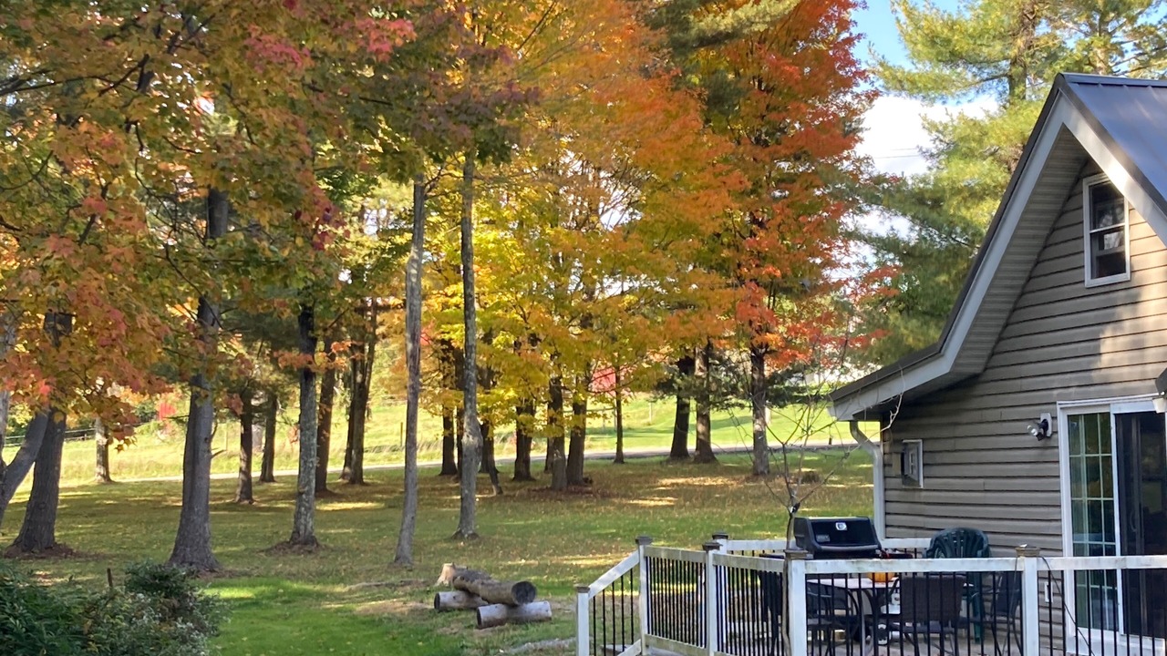 Photo of Outdoor in Naples