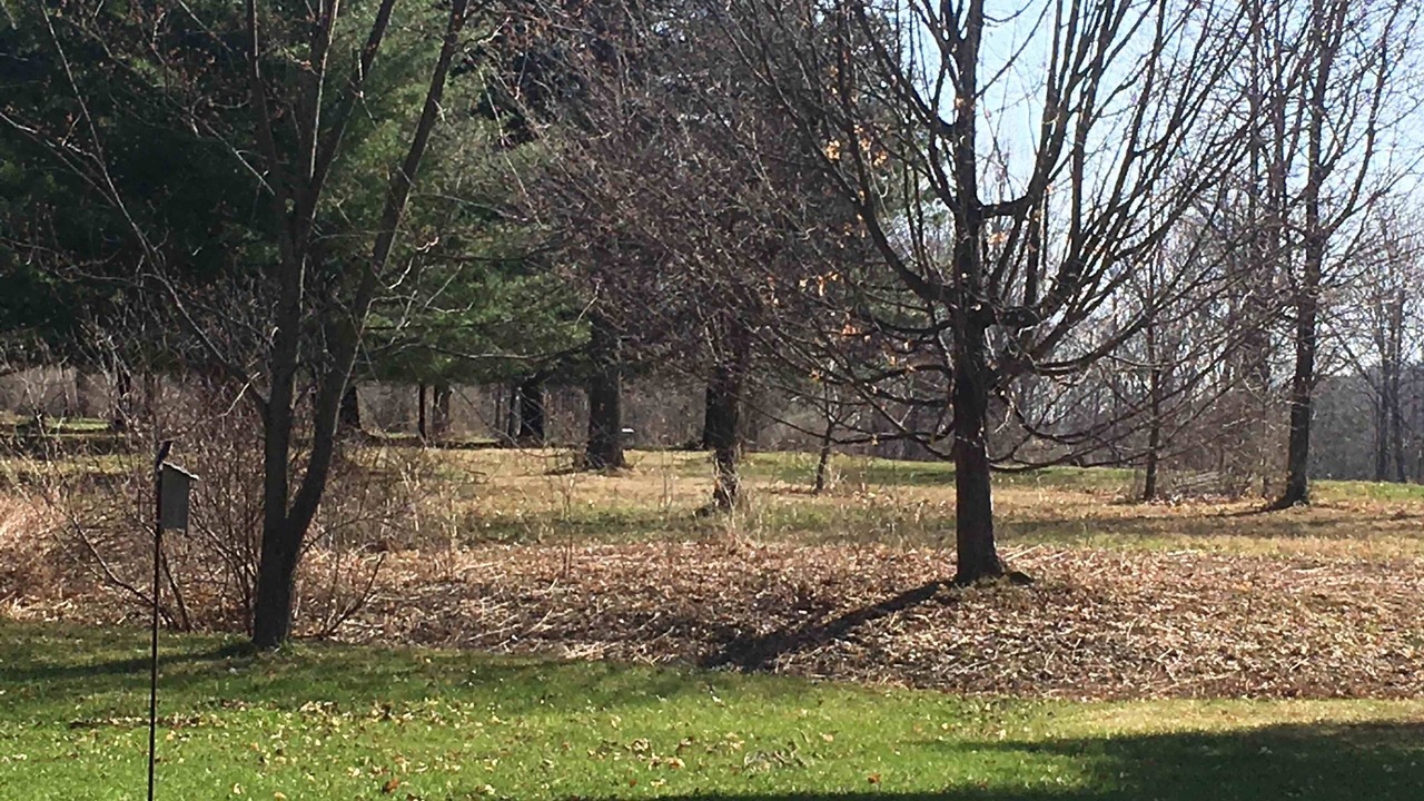 Photo of Outdoor in Naples