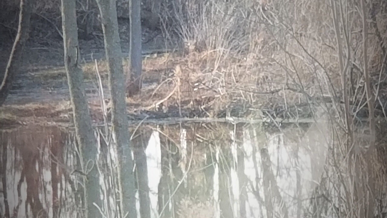 Photo of Others in Hamlin