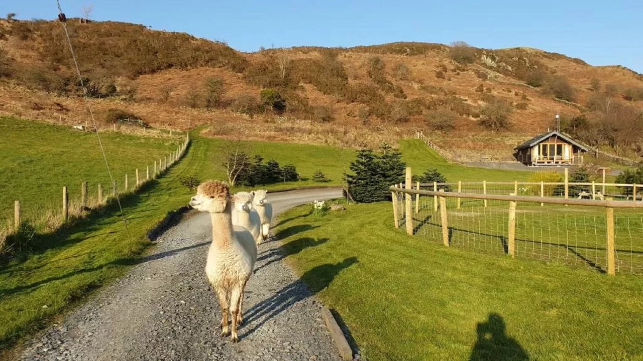 Photo of Outdoor in Ulverston
