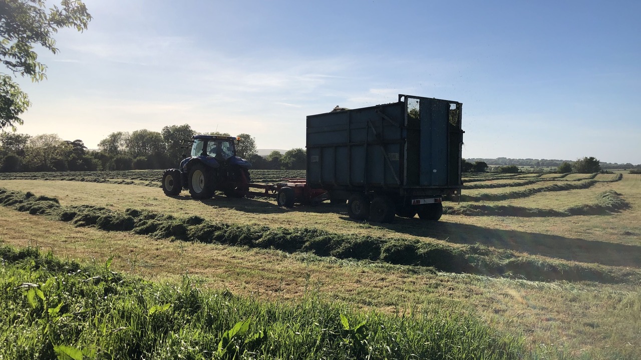 Photo of Outdoor in Compton Martin