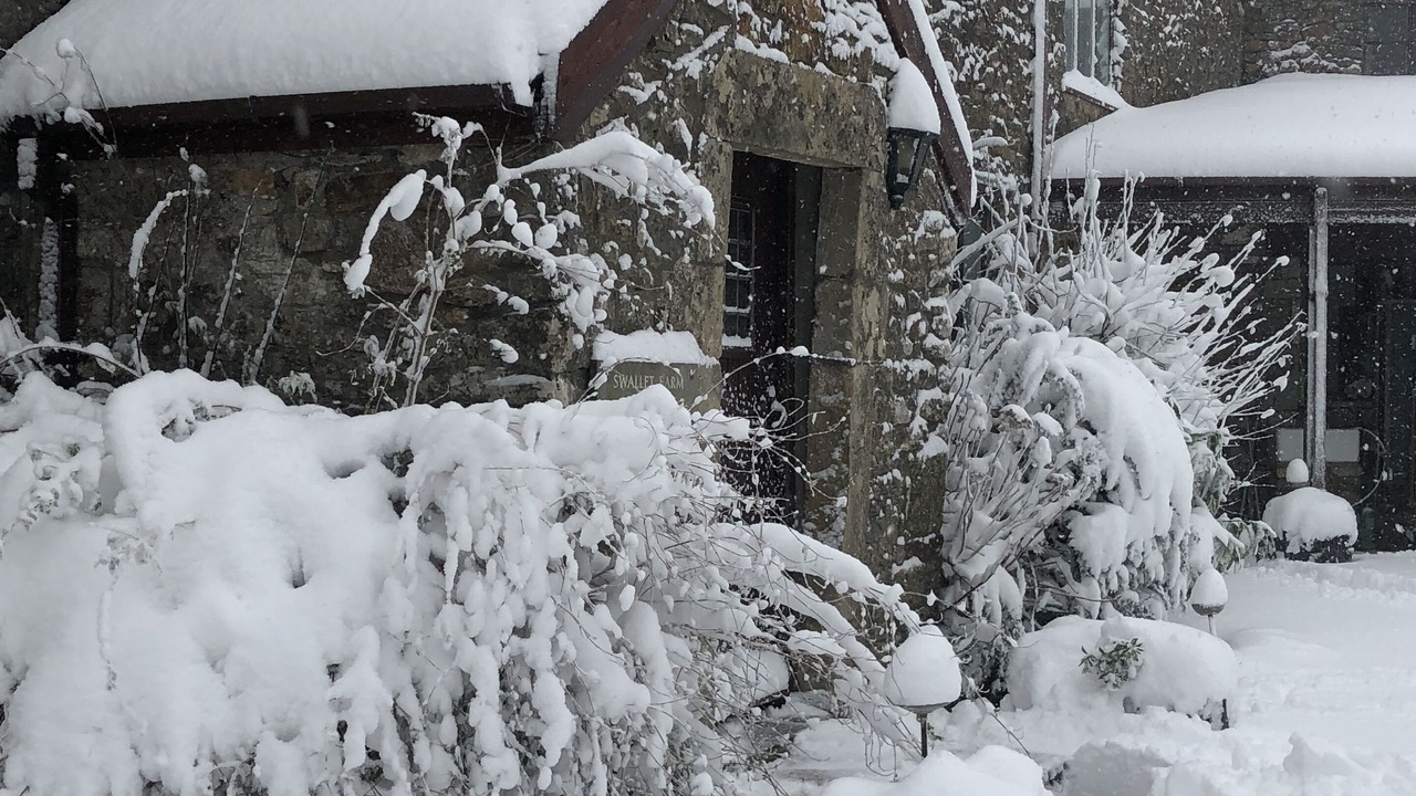 Photo of Outdoor in Compton Martin