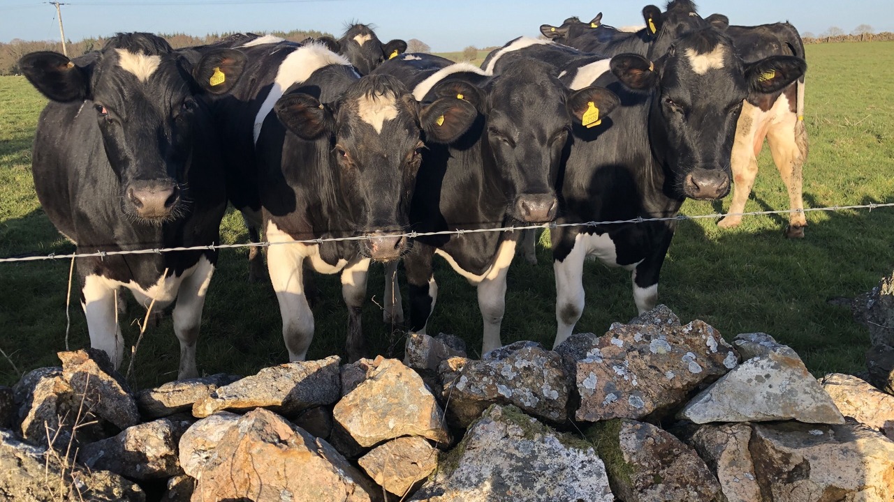 Photo of Others in Compton Martin