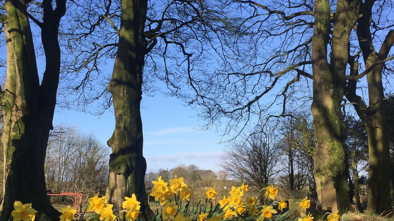 Photo of Outdoor in Compton Martin